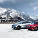 Jaguar Line Up Outdoors Mountains in Background