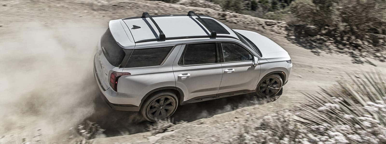 Lease or Finance new 2024 Hyundai PALISADE in Laguna Niguel near Mission Viejo California