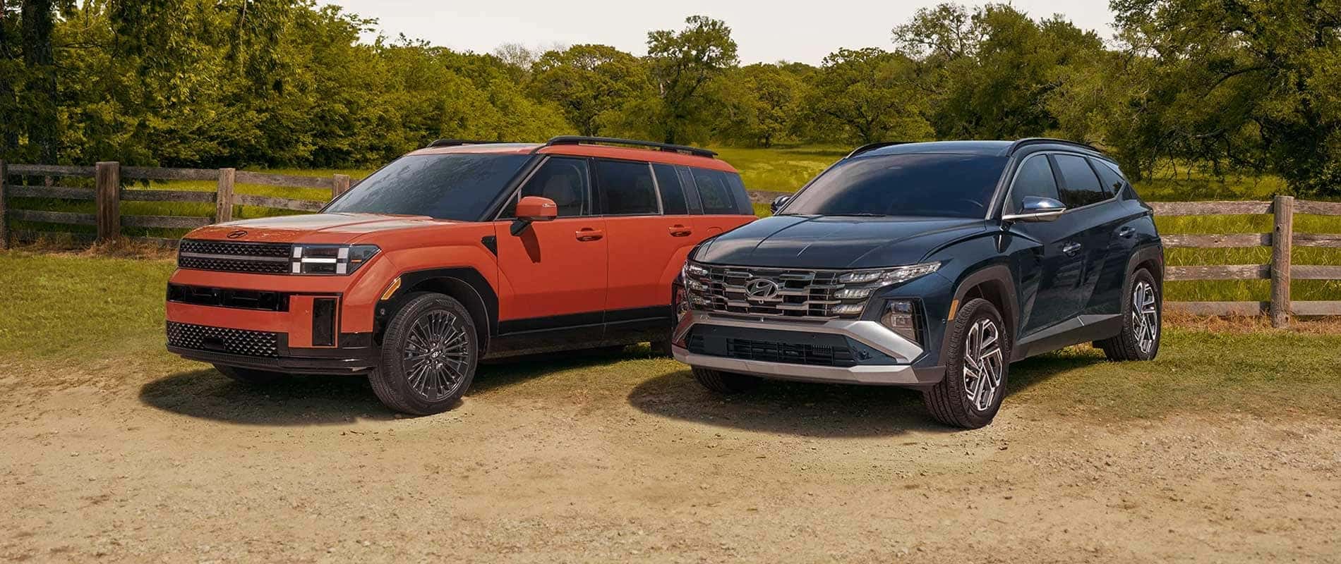 Two 2025 Hyundai Vehicles
