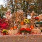 Fall Pumpkin Patch Hayride