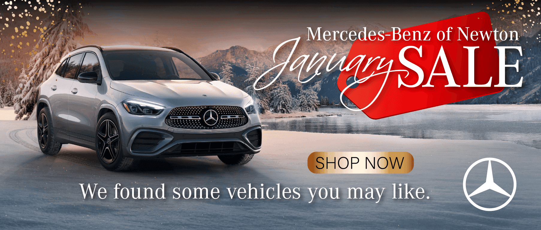 January Sale