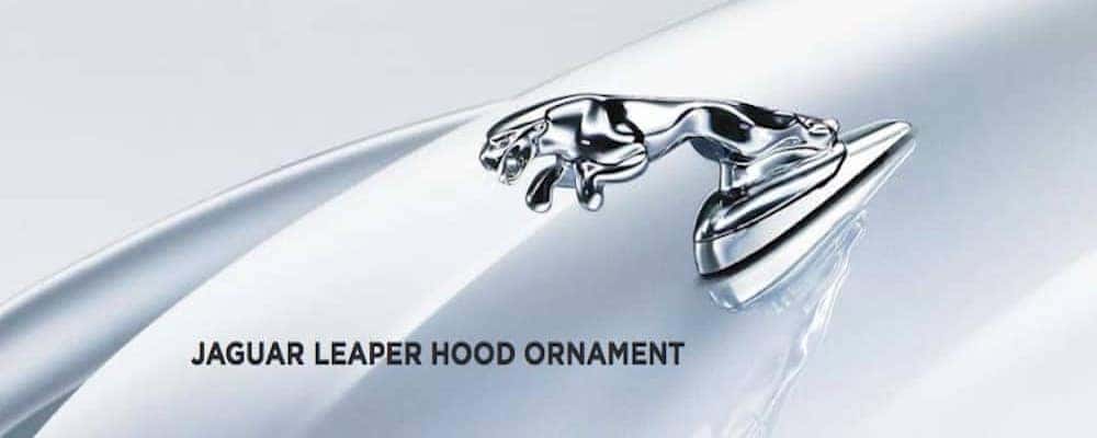 jaguar car symbol