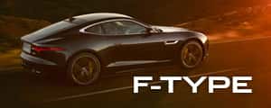 f-type-1