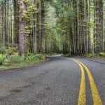 Olympic Peninsula Loop