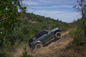 Defender OCTA