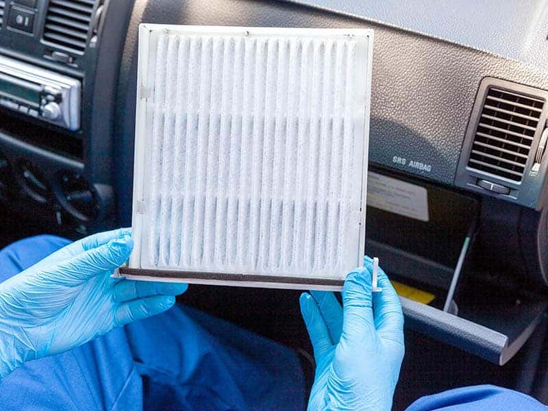 Person holding a cabin air filter.