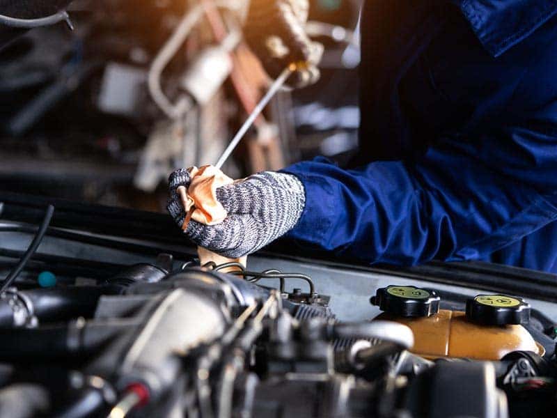 Auto Mechanic checking oil levels