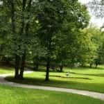 Beautiful Day In The Park