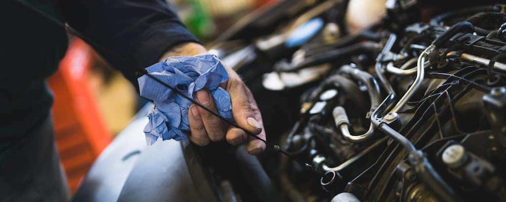 Mechanic checking oil level