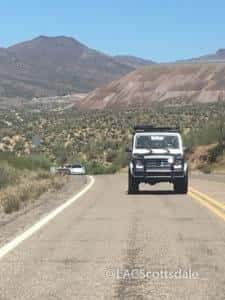 IMG 0875