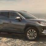 2019 Toyota RAV4 in Gray