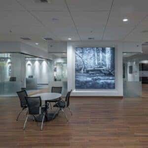 Mazda Roseville Interior Showroom
