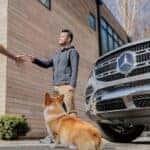 Pet grooming in Hoffman Estates, IL