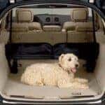 Mercedes-Benz pet cargo divider