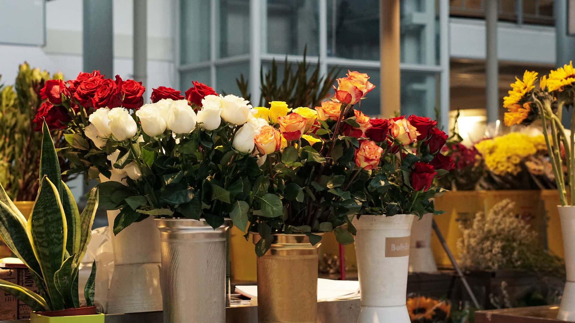 Flowers for sale at a floral shop