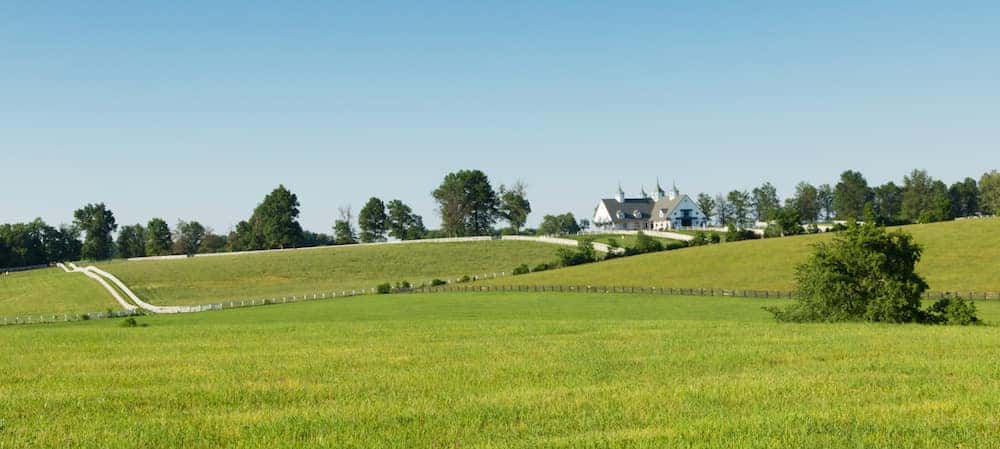 rolling green hills in the country