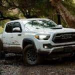 Off-Road Tacoma