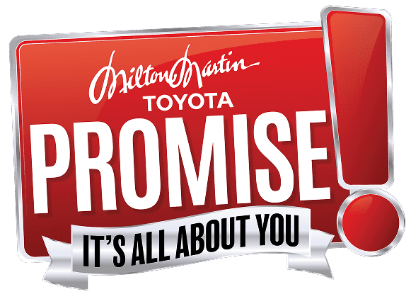 The Promise Logo