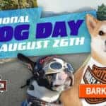 National Dog Day is August 26th