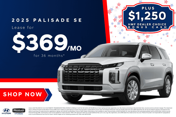 <center><strong>2025 Hyundai Palisade SE</strong></center>