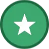 icon-5-star-100x100