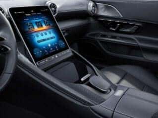 H73 - AMG Carbon Fiber trim