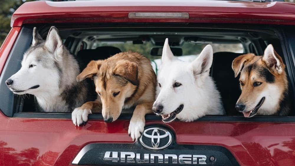 Does the Toyota 4Runner Have Third Row Seating Savannah Toyota