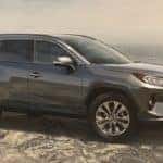 2019 Toyota RAV4 Exterior Gray