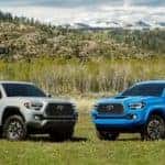 2020 Toyota Tacoma models parked next to each other