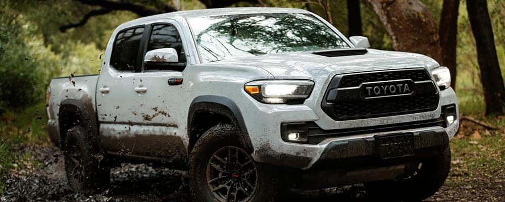 2021 Toyota Tacoma Trim Levels Explained Renaldo Takemura