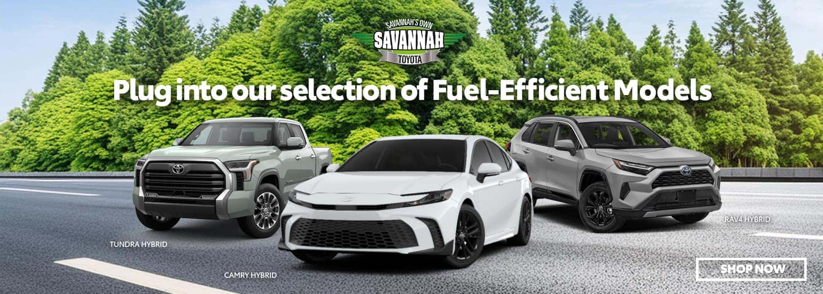 Toyota Dealership Savannah GA | Near Hinesville | Near Pooler