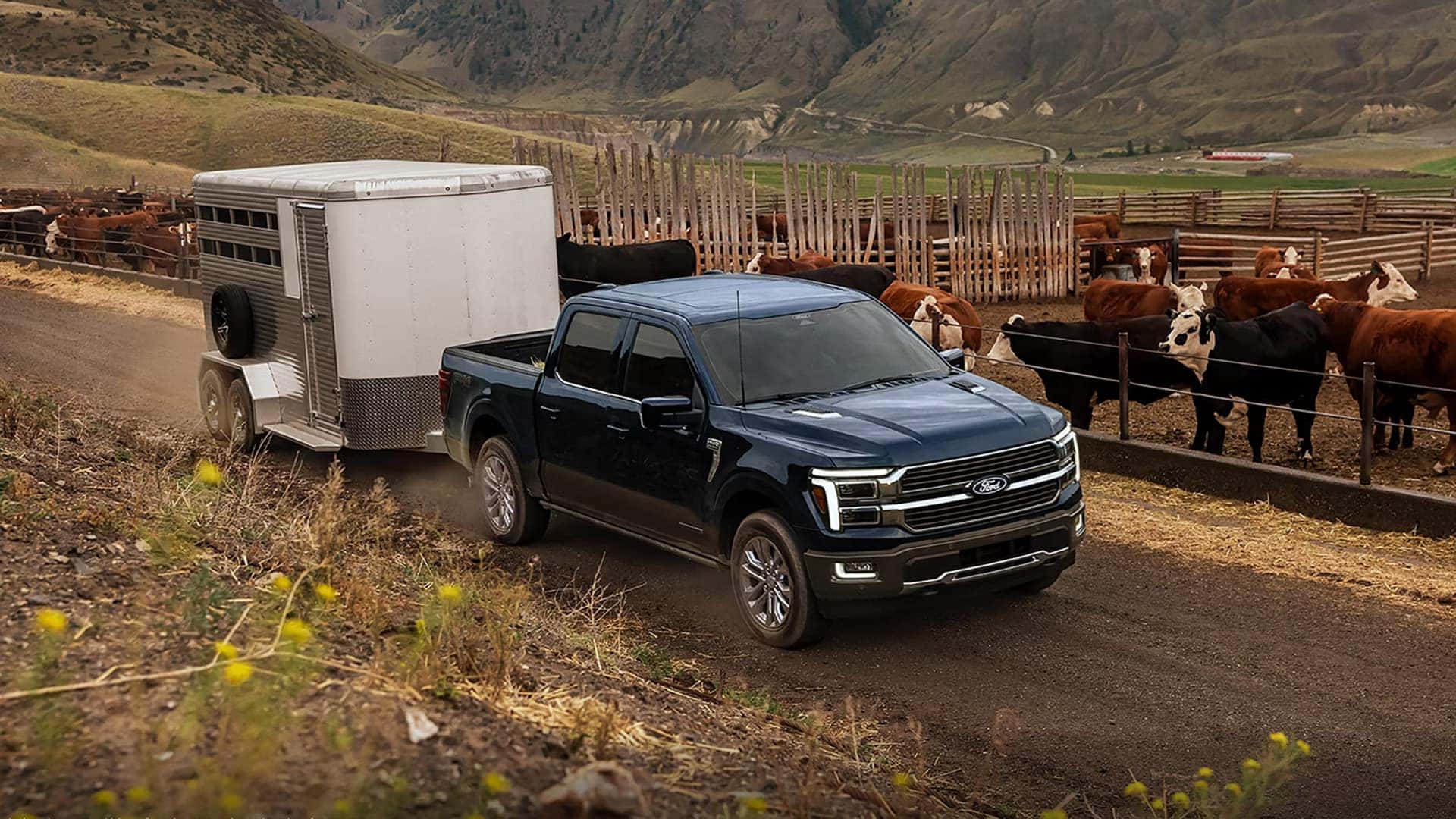2026 Ford F-150 towing a livestock trailer on a rural road, highlighting trailering capability and exterior stability.