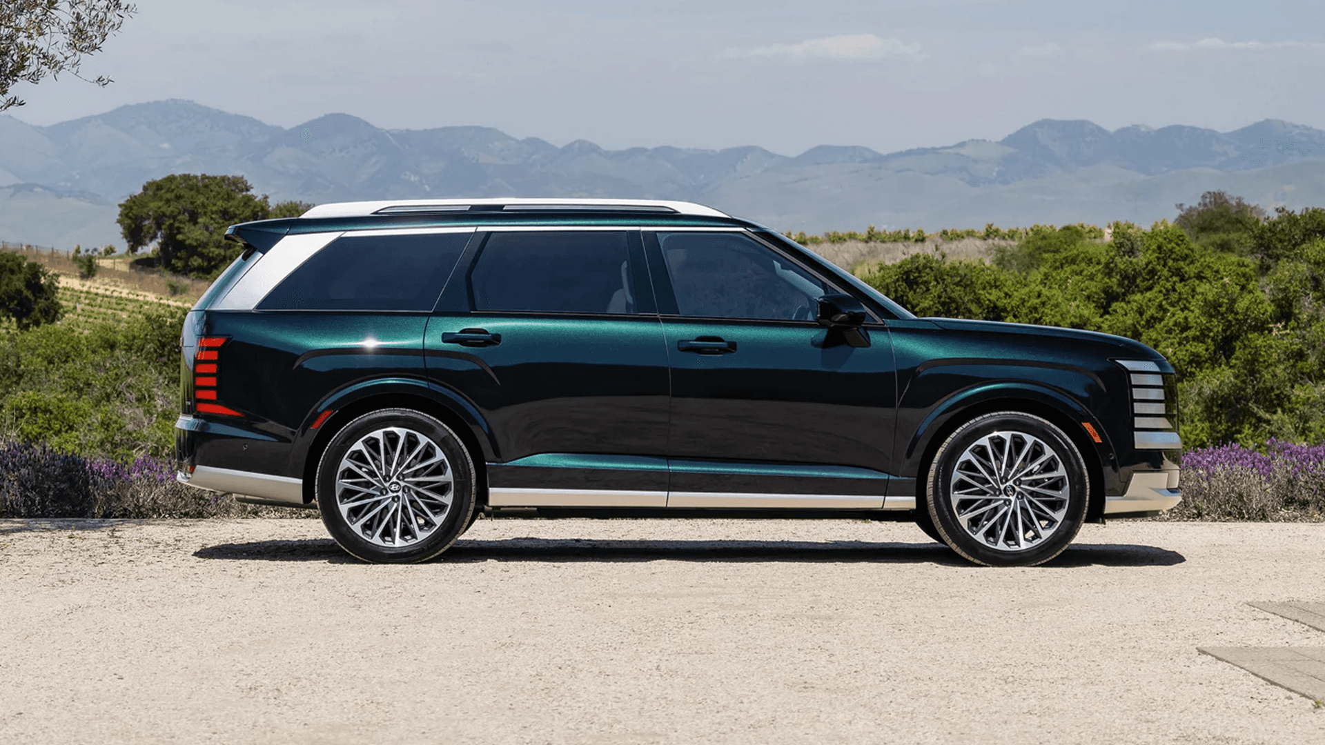 Side profile of a dark green 2026 Hyundai Palisade parked on a scenic overlook with mountains in the background, highlighting the long three-row SUV shape, black window trim, roof rails, silver lower cladding, and large multi-spoke alloy wheels.