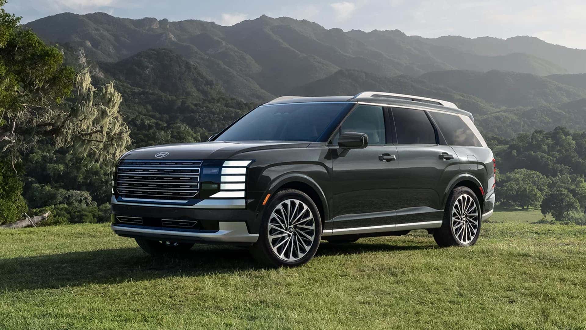 2026 Hyundai Palisade Hybrid parked in a grassy landscape with mountains in the background, representing long distance driving range capability.