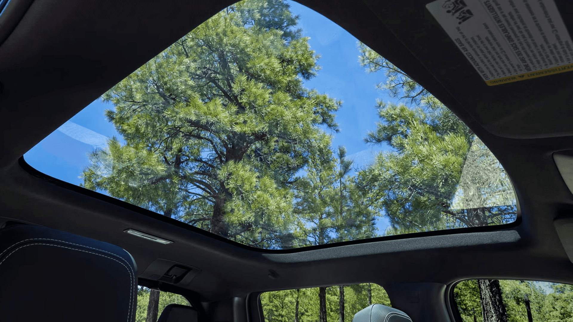 View upward through panoramic fixed-glass roof in Silverado EV, showing pine trees and blue sky