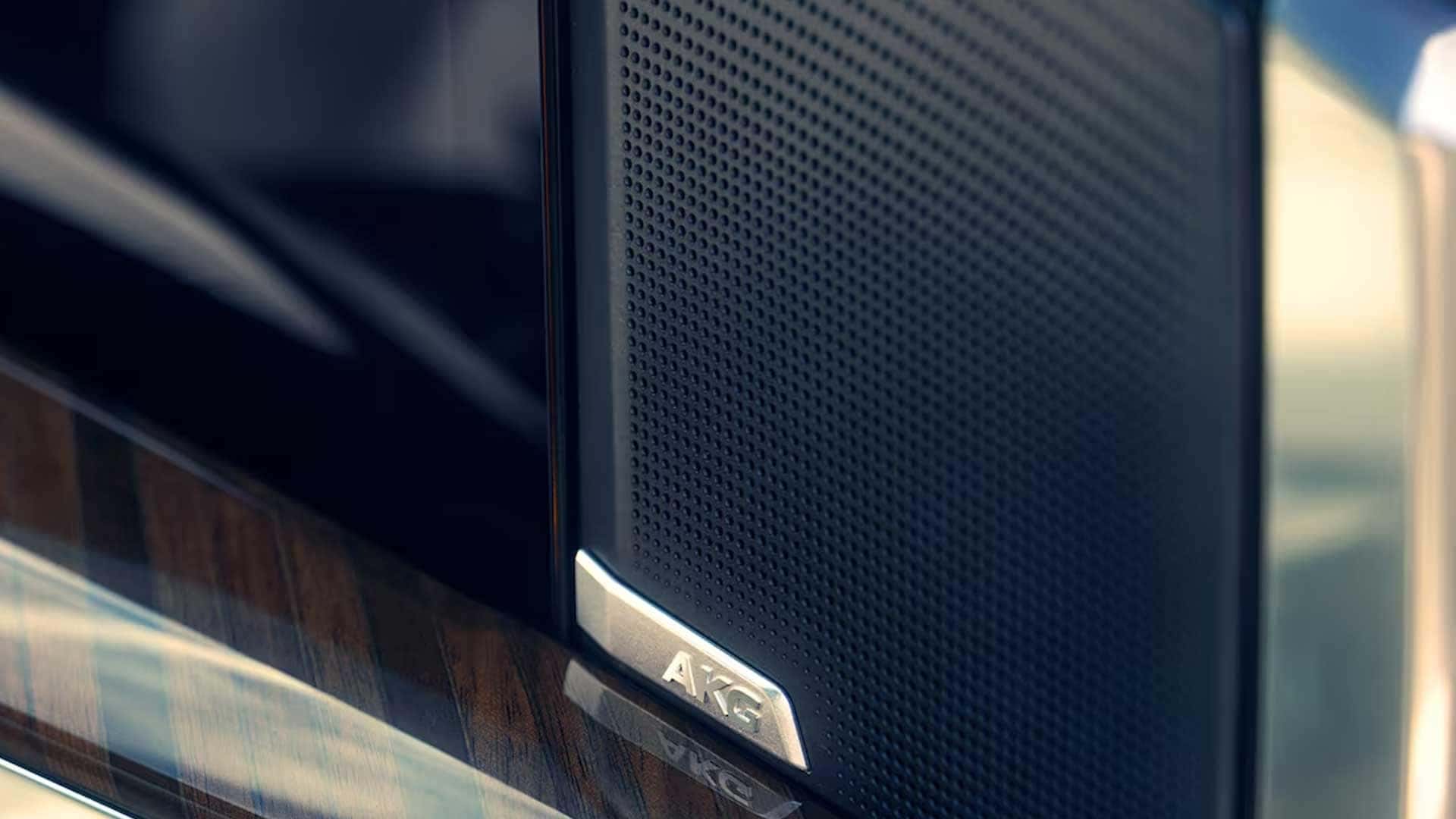 Close up of AKG speaker grille with metallic badge set into door panel with wood trim detail