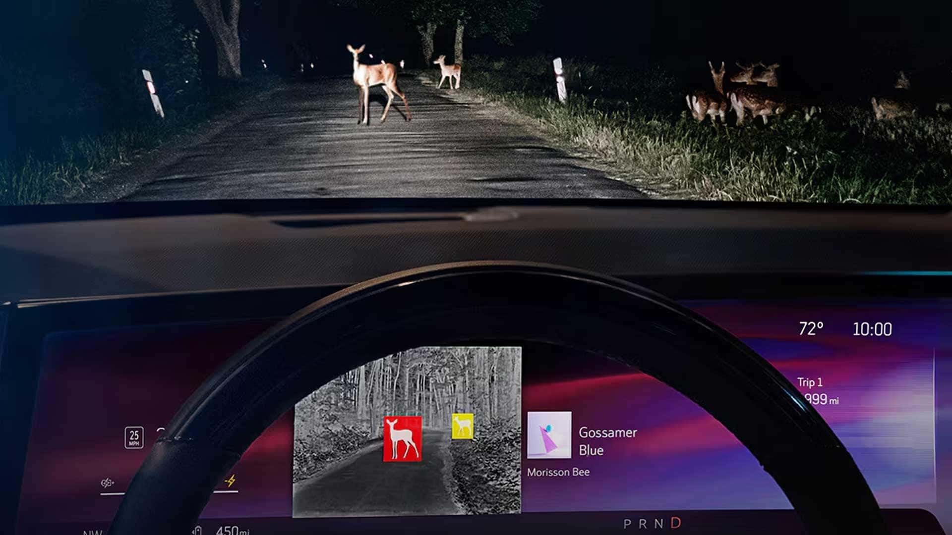 Driver view at night with deer on road ahead and digital display highlighting detected animals on screen