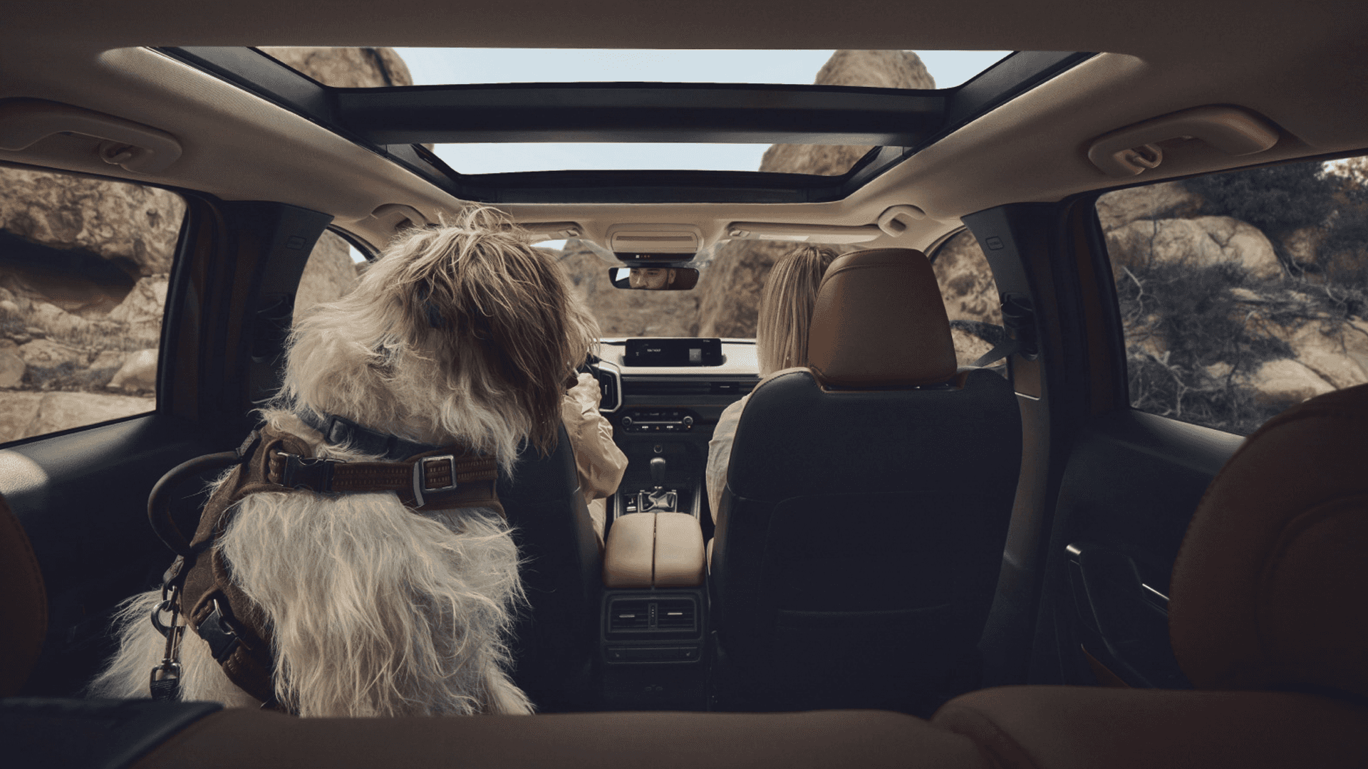 Rear cabin view with a dog, two front occupants, brown seats, and a large glass roof above the interior