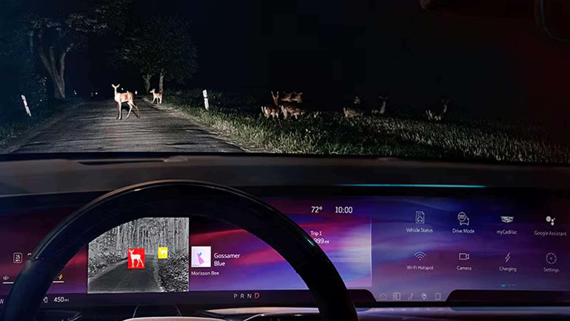 Driver display showing night road scene with deer highlighted on screen and dashboard interface visible