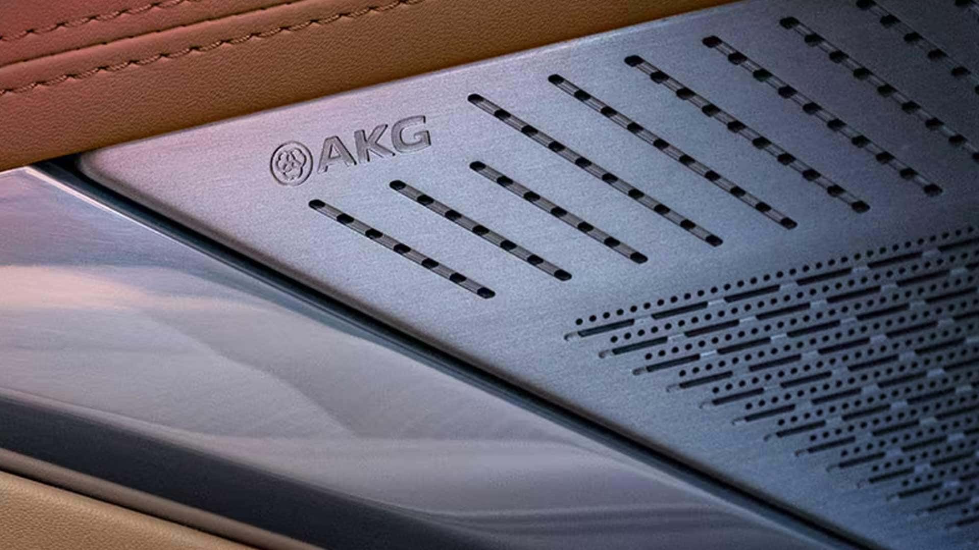 Close up of AKG speaker grille set into a Cadillac interior panel with tan trim
