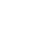 tire specials icon