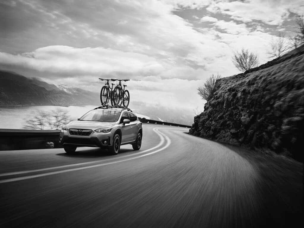 Love Is Out There. Find it in the 2024 Subaru Crosstrek. 