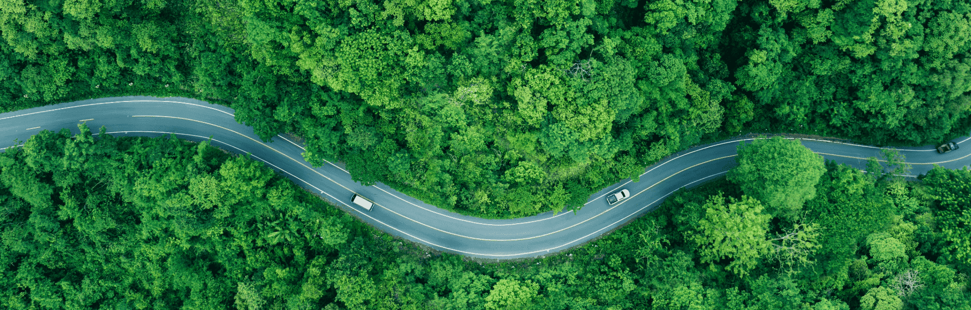 Toyota EV Environmental Benefits Guide