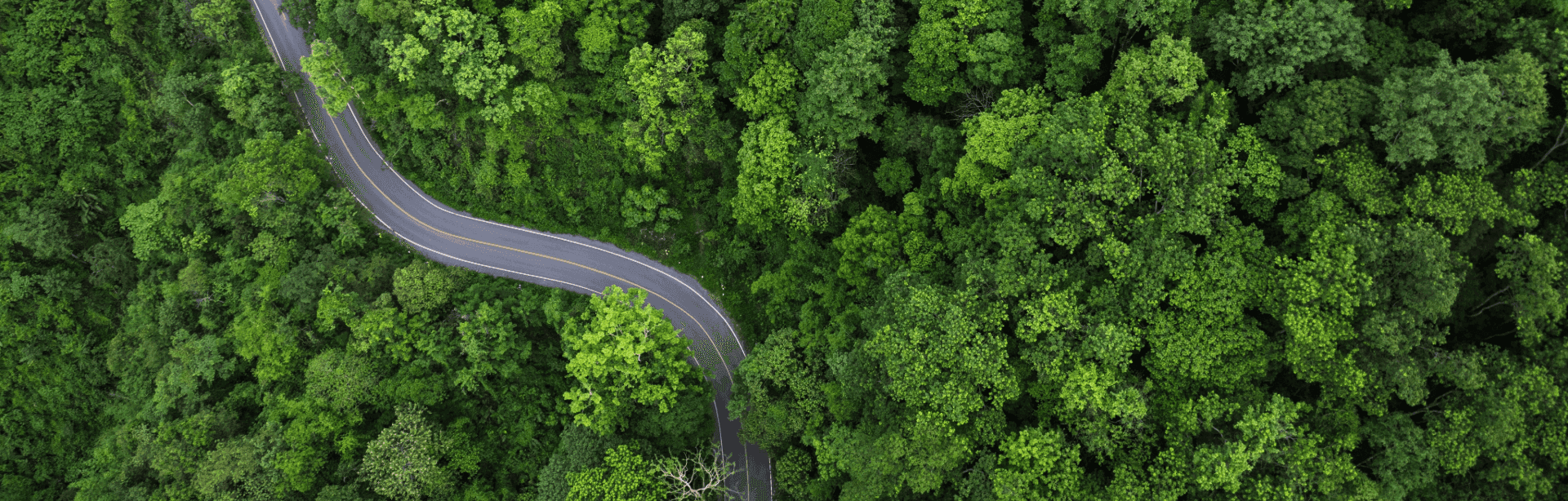 Toyota EV Environmental Benefits Guide